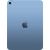 Apple iPad 11 (2025) 256 GB, Wi-Fi + Cellular, Синий (Blue)