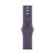 Apple Watch Series 11, 42 mm, Nalural Titanium GPS+Cellular, Purple Fog Sport Band S/M