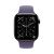 Apple Watch Series 11, 42 mm, Slate Titanium GPS+Cellular, Purple Fog Sport Band S/M